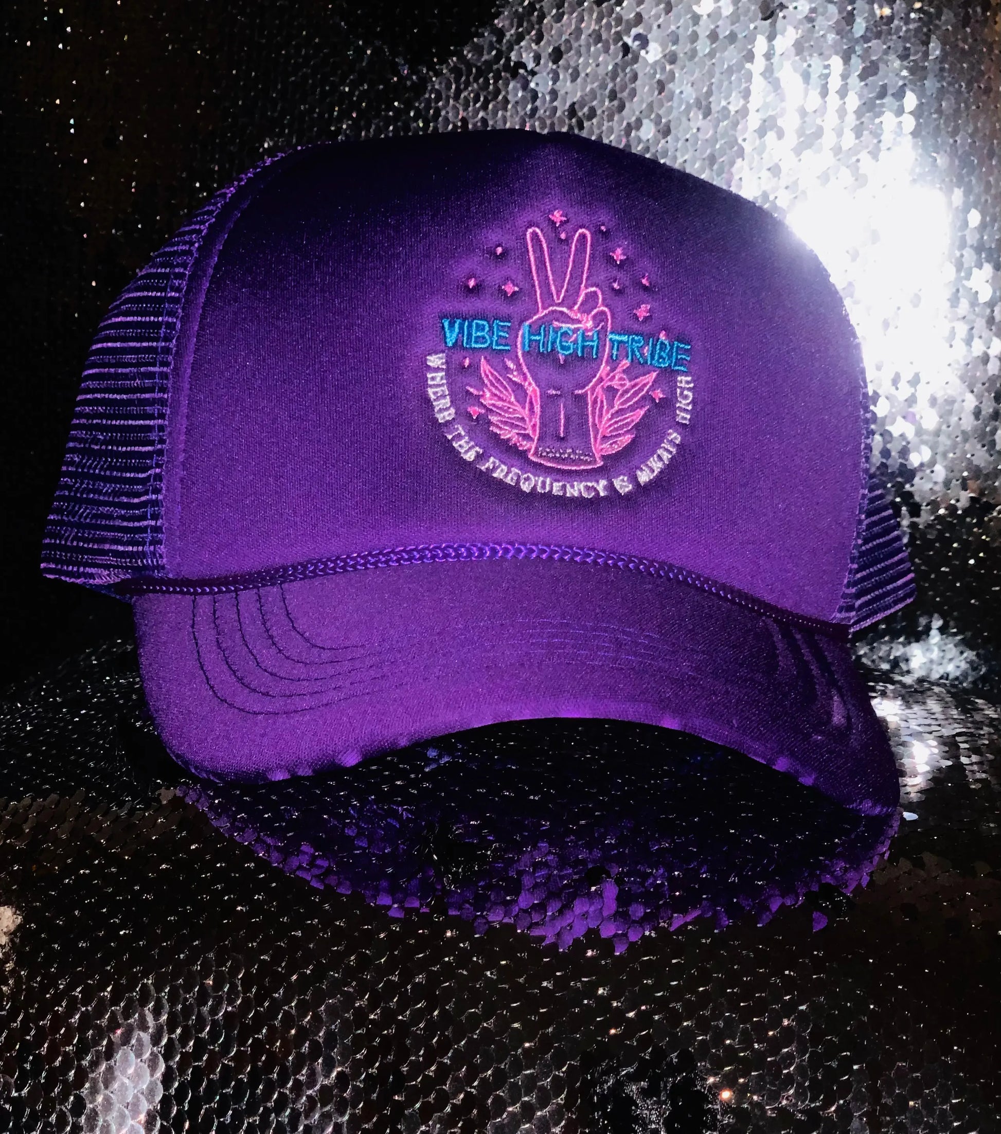 Vibe High Tribe Purple SnapBack